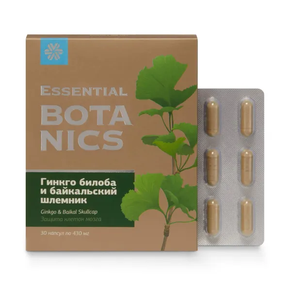 Гинкго билоба и байкальский шлемник - Essential Botanics